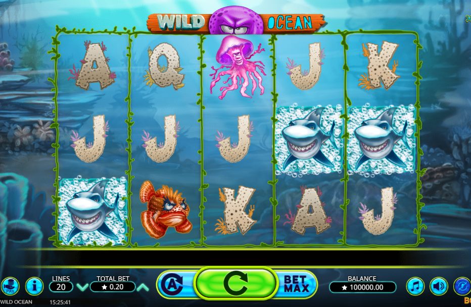 Wild Ocean: The Detailed Guide to Online Casino Slot Game